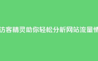 QQ访客精灵 - QQ访客精灵助你轻松分析网站流量情况!
