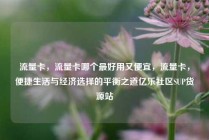 流量卡，流量卡哪个最好用又便宜，流量卡，便捷生活与经济选择的平衡之道亿乐社区SUP货源站