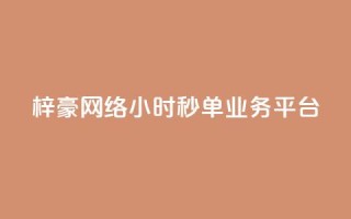 梓豪网络24小时秒单业务平台,qq赞自助下单平台 - 卡盟应用程序 - 抖音1:10充值链接