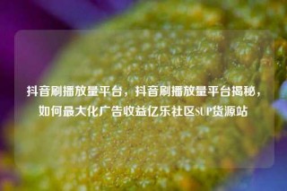 抖音刷播放量平台，抖音刷播放量平台揭秘，如何最大化广告收益亿乐社区SUP货源站