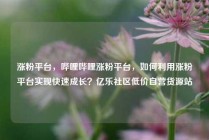 涨粉平台，哔哩哔哩涨粉平台，如何利用涨粉平台实现快速成长？亿乐社区低价自营货源站