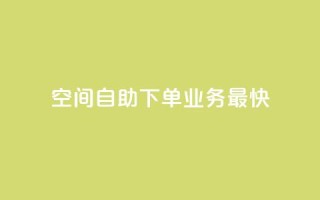 空间自助下单业务最快,快手业务全网最低价 - 粉丝下单链接 - ks保不掉粉丝