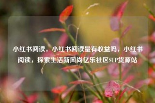 小红书阅读，小红书阅读量有收益吗，小红书阅读，探索生活新风尚亿乐社区SUP货源站