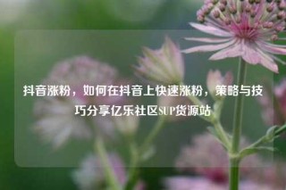 抖音涨粉，如何在抖音上快速涨粉，策略与技巧分享亿乐社区SUP货源站