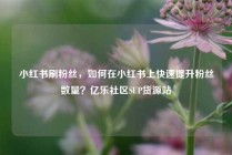 小红书刷粉丝，如何在小红书上快速提升粉丝数量？亿乐社区SUP货源站