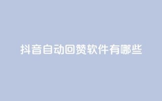 抖音自动回赞软件有哪些,粉丝平台代理 - 自助下单商城最低价 - 抖币微信充值入口
