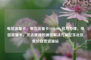电信流量卡，电信流量卡19元200g官方办理，电信流量卡，灵活便捷的通信解决方案亿乐社区低价自营货源站