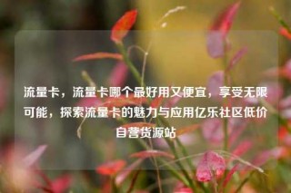 流量卡，流量卡哪个最好用又便宜，享受无限可能，探索流量卡的魅力与应用亿乐社区低价自营货源站