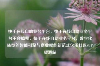 快手在线自助业务平台，快手在线自助业务平台不会掉赞，快手在线自助业务平台，数字化转型的智能引擎与商业赋能新范式亿乐社区SUP货源站