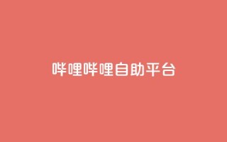 哔哩哔哩自助平台,ks自助下单服务平台 - 抖音业务下单24小时平台 - 快手充值入口