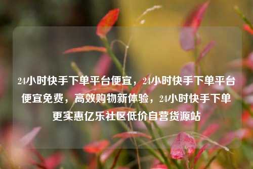 24小时快手下单平台便宜，24小时快手下单平台便宜免费，高效购物新体验，24小时快手下单更实惠亿乐社区低价自营货源站  第1张
