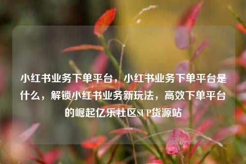 小红书业务下单平台，小红书业务下单平台是什么，解锁小红书业务新玩法，高效下单平台的崛起亿乐社区SUP货源站  第1张