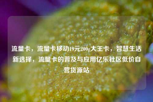 流量卡，流量卡移动19元200g大王卡	，智慧生活新选择，流量卡的普及与应用亿乐社区低价自营货源站  第1张