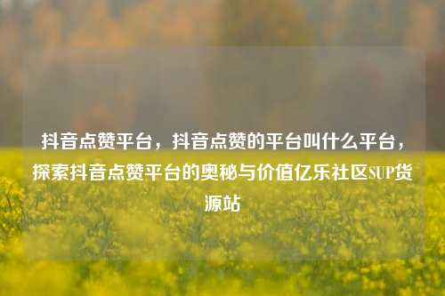 抖音点赞平台，抖音点赞的平台叫什么平台	，探索抖音点赞平台的奥秘与价值亿乐社区SUP货源站  第1张