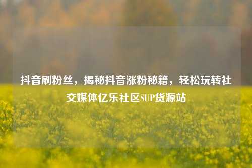 抖音刷粉丝，揭秘抖音涨粉秘籍，轻松玩转社交媒体亿乐社区SUP货源站  第1张