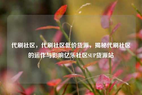 代刷社区，代刷社区低价货源	，揭秘代刷社区的运作与影响亿乐社区SUP货源站  第1张