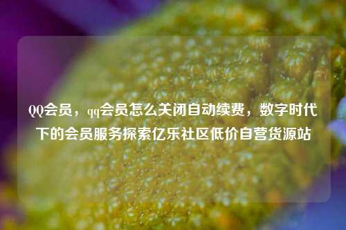 QQ会员	，qq会员怎么关闭自动续费，数字时代下的会员服务探索亿乐社区低价自营货源站  第1张