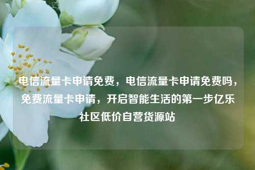 电信流量卡申请免费，电信流量卡申请免费吗	，免费流量卡申请，开启智能生活的第一步亿乐社区低价自营货源站  第1张