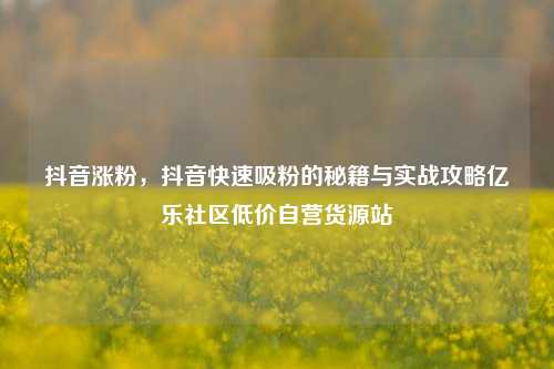 抖音涨粉，抖音快速吸粉的秘籍与实战攻略亿乐社区低价自营货源站  第1张