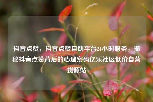 抖音点赞，抖音点赞自助平台24小时服务，揭秘抖音点赞背后的心理密码亿乐社区低价自营货源站  第1张