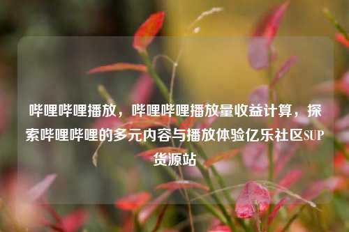哔哩哔哩播放，哔哩哔哩播放量收益计算，探索哔哩哔哩的多元内容与播放体验亿乐社区SUP货源站  第1张