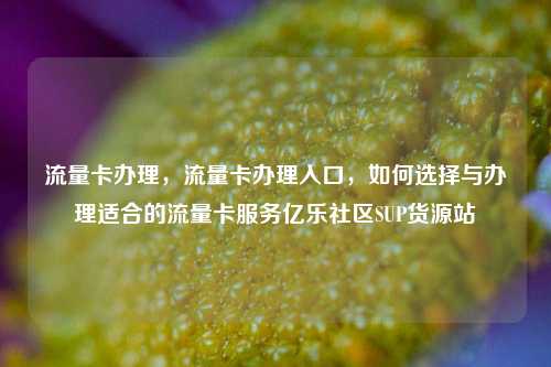 流量卡办理	，流量卡办理入口，如何选择与办理适合的流量卡服务亿乐社区SUP货源站  第1张