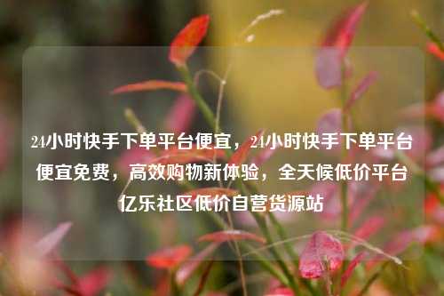 24小时快手下单平台便宜，24小时快手下单平台便宜免费，高效购物新体验，全天候低价平台亿乐社区低价自营货源站  第1张