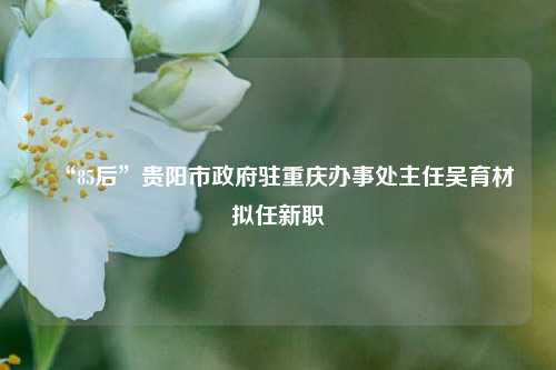 “85后”贵阳市政府驻重庆办事处主任吴育材拟任新职  第1张