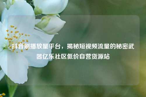 抖音刷播放量平台，揭秘短视频流量的秘密武器亿乐社区低价自营货源站  第1张