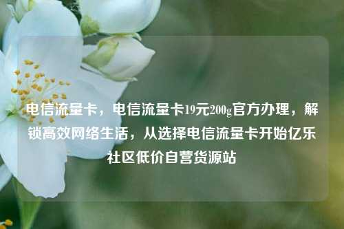 电信流量卡，电信流量卡19元200g官方办理，解锁高效网络生活，从选择电信流量卡开始亿乐社区低价自营货源站  第1张