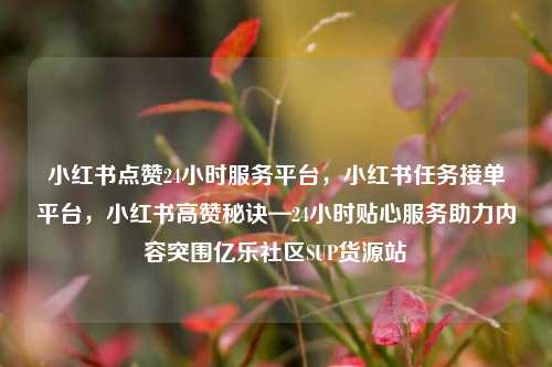 小红书点赞24小时服务平台，小红书任务接单平台，小红书高赞秘诀—24小时贴心服务助力内容突围亿乐社区SUP货源站  第1张