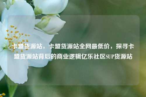 卡盟货源站，卡盟货源站全网最低价	，探寻卡盟货源站背后的商业逻辑亿乐社区SUP货源站  第1张
