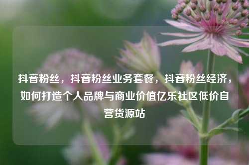 抖音粉丝，抖音粉丝业务套餐，抖音粉丝经济	，如何打造个人品牌与商业价值亿乐社区低价自营货源站  第1张
