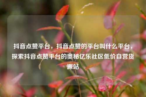 抖音点赞平台，抖音点赞的平台叫什么平台	，探索抖音点赞平台的奥秘亿乐社区低价自营货源站  第1张