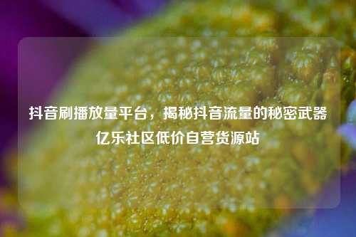 抖音刷播放量平台，揭秘抖音流量的秘密武器亿乐社区低价自营货源站  第1张