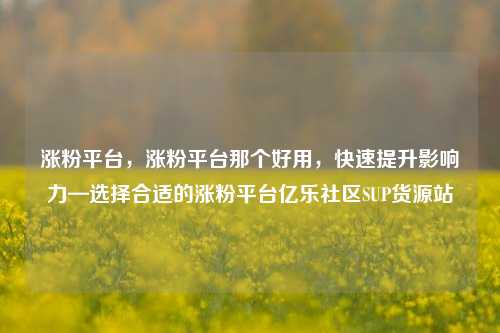 涨粉平台	，涨粉平台那个好用，快速提升影响力—选择合适的涨粉平台亿乐社区SUP货源站  第1张