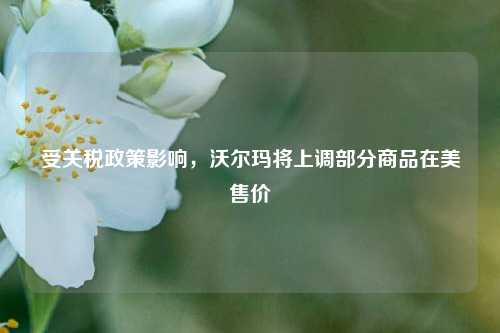 受关税政策影响	，沃尔玛将上调部分商品在美售价  第1张