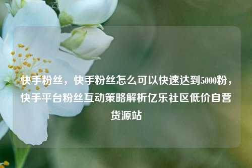 快手粉丝，快手粉丝怎么可以快速达到5000粉	，快手平台粉丝互动策略解析亿乐社区低价自营货源站  第1张