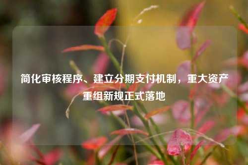 简化审核程序、建立分期支付机制	，重大资产重组新规正式落地  第1张