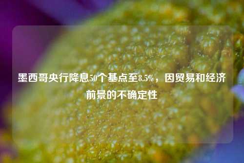 墨西哥央行降息50个基点至8.5%	，因贸易和经济前景的不确定性  第1张
