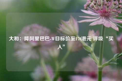 大和：降阿里巴巴-W目标价至170港元 评级“买入”  第1张