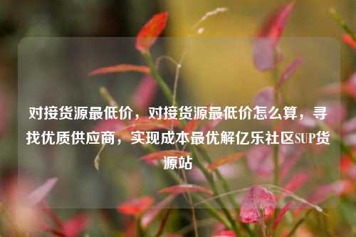 对接货源最低价，对接货源最低价怎么算，寻找优质供应商，实现成本最优解亿乐社区SUP货源站  第1张