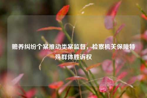 赡养纠纷个案推动类案监督	，检察机关保障特殊群体胜诉权  第1张