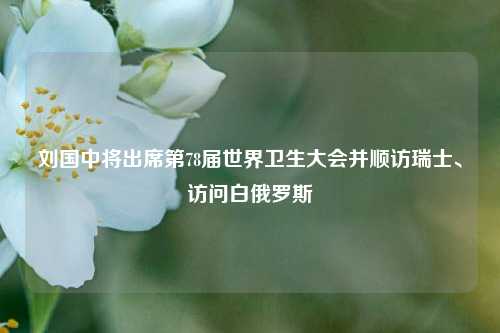 刘国中将出席第78届世界卫生大会并顺访瑞士	、访问白俄罗斯  第1张