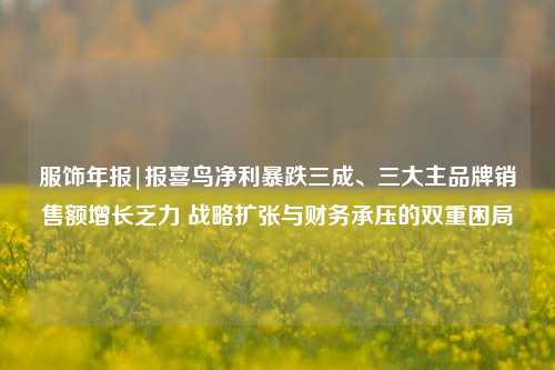 服饰年报|报喜鸟净利暴跌三成、三大主品牌销售额增长乏力 战略扩张与财务承压的双重困局  第1张