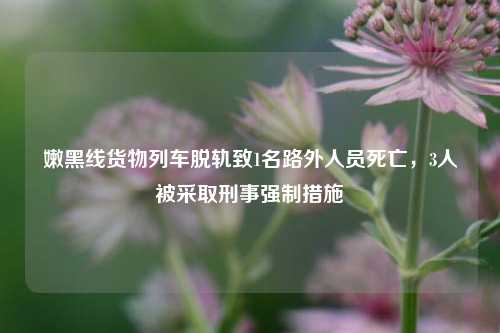 嫩黑线货物列车脱轨致1名路外人员死亡，3人被采取刑事强制措施  第1张