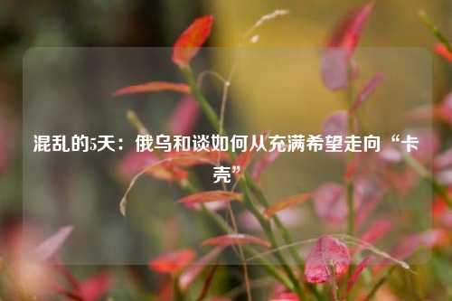 混乱的5天：俄乌和谈如何从充满希望走向“卡壳	”  第1张