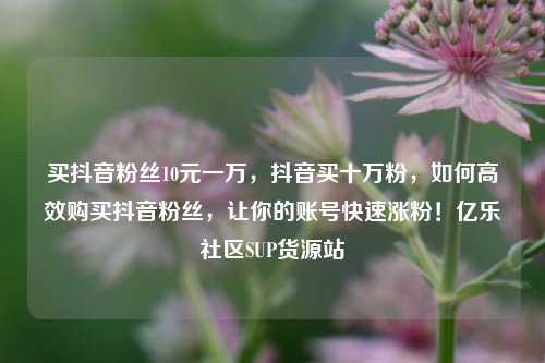 买抖音粉丝10元一万，抖音买十万粉，如何高效购买抖音粉丝，让你的账号快速涨粉！亿乐社区SUP货源站  第1张