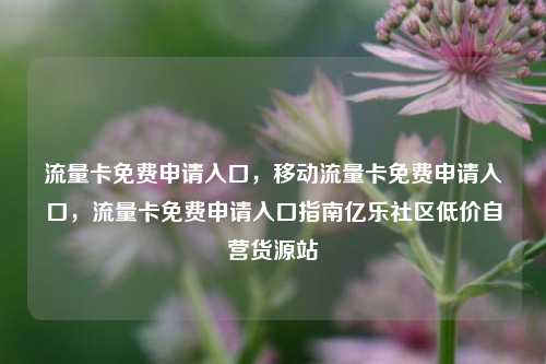 流量卡免费申请入口，移动流量卡免费申请入口	，流量卡免费申请入口指南亿乐社区低价自营货源站  第1张