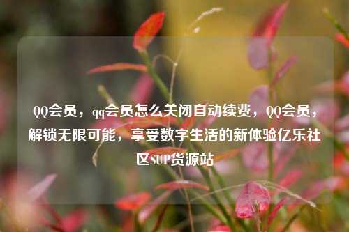 QQ会员，qq会员怎么关闭自动续费，QQ会员	，解锁无限可能，享受数字生活的新体验亿乐社区SUP货源站  第1张
